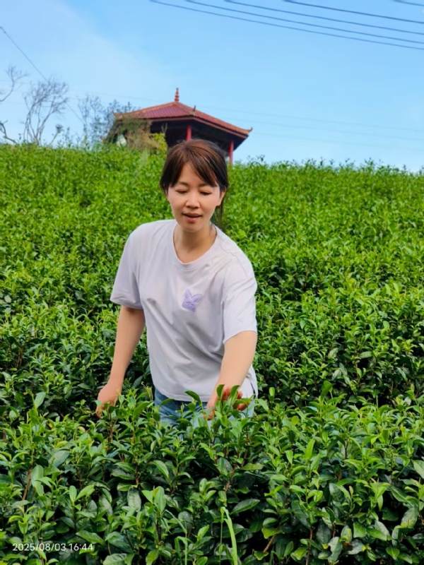 Q绮芳的第一张照片--邵武征婚网